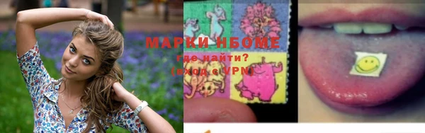 стаф Верея