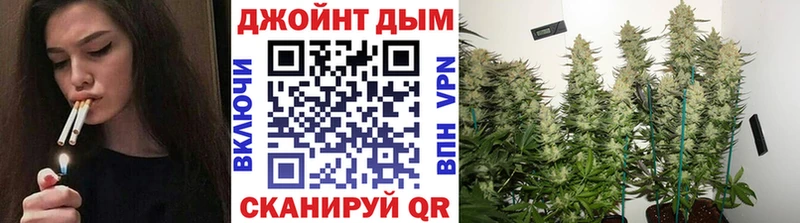 Бошки марихуана сатива что такое наркотик Кострома